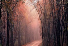 天涯社区三十不嫁：单身女生成熟魅力的秘密武器