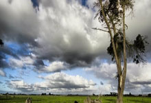 天涯社区上的瘦身秘籍，你能人设完美吗？