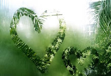 天涯社区何开通：互联网怀旧版老友记