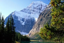 天涯社区上的瘦身秘籍，你能人设完美吗？